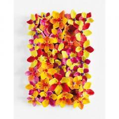 Mizokami Kazumasa Art Exhibition　 - The Universe of Coloured Terra Cotta - 　